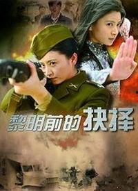 黎明前的抉择,历史转折点的关键决策