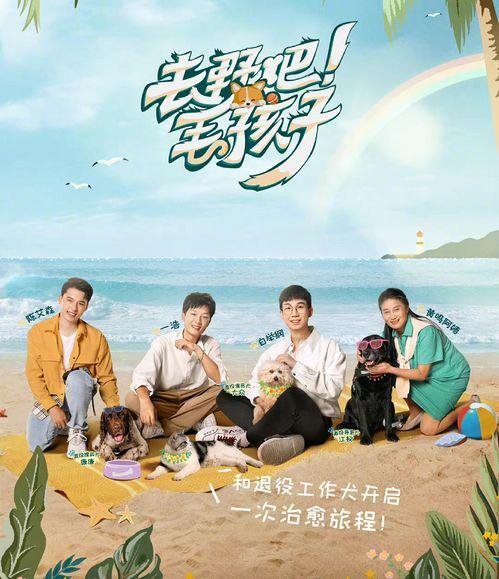 去野吧！毛孩子,陪伴毛孩子共度欢乐时光