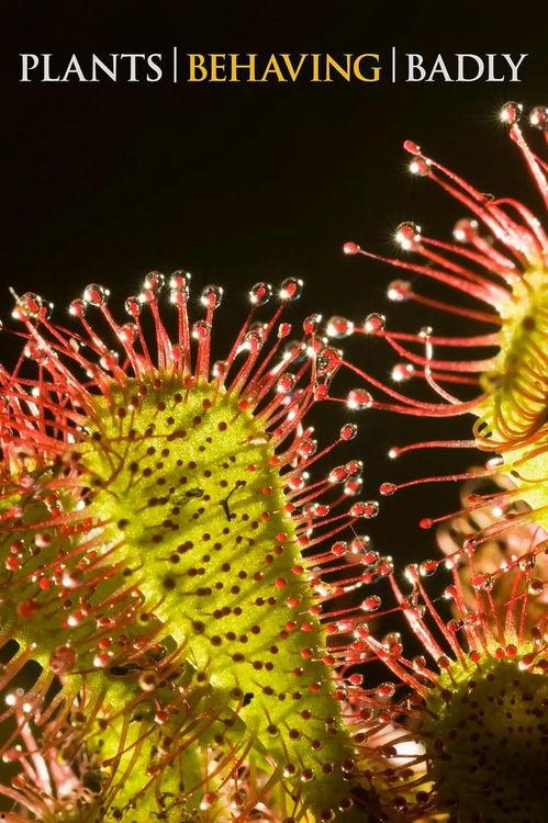 植物也坏坏,揭秘自然界的奇妙与神秘